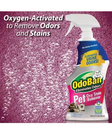 OdoBan Pet Solutions Oxy Stain Remover Pet Stain Eliminator 32 Ounce Spray - Buy Online on GoSupps.com