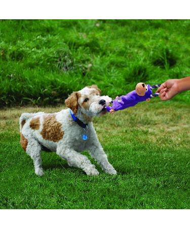 KONG - Tugger Knots Monkey - Tug of War Dog Toy Minimal Stuffing and Looped Ropes for added Strength - For Small/Medium Dogs - Buy Online on GoSupps.com