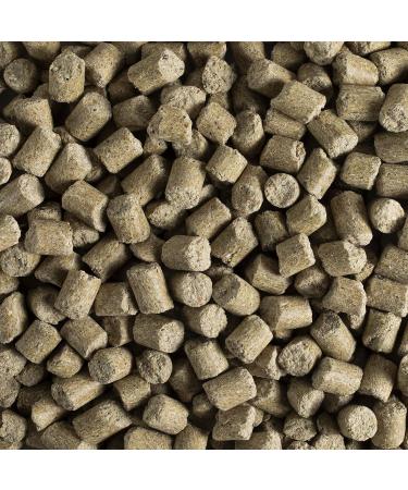 Forti-Diet Pro Health Kaytee Small Animal Food for Mouse and Pet Rats 3-Pound - Buy Online on GoSupps.com