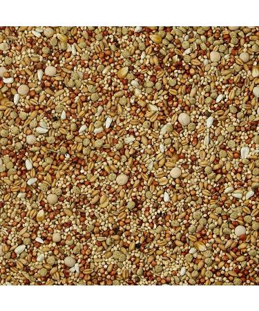 Kaytee Supreme Daily Blend Dove Food - Nourishing & Nutritious for Healthy Doves - Buy Online on GoSupps.com