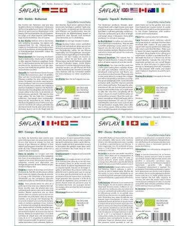 SAFLAX - ORGANIC - Squash - Butternut - 6 seeds - Cucurbita moschata - Buy Online on GoSupps.com