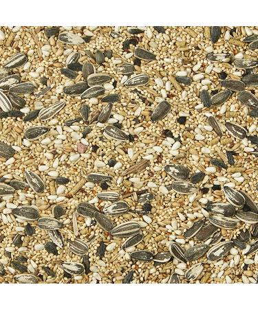 Kaytee Supreme Cockatiel Food 5 lb - Premium Whites & Tans Blend - Buy Online on GoSupps.com