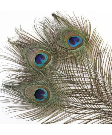 Soarer Long Peacock Feathers Bulk - 25pcs 32-35 inches for Vase, Holiday Decoration & DIY Crafts - Buy Online on GoSupps.com