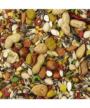 Kaytee Fiesta Macaw Bird Food - Nutritious Blend for Vibrant Health - Buy Online on GoSupps.com