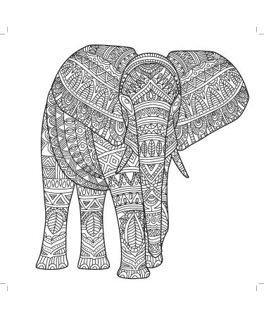 Kaisercraft On Safari Coloring Book - Engaging Wildlife Designs for Relaxation - Buy Online on GoSupps.com