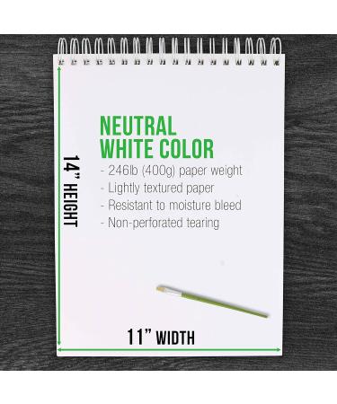 U.S. Art Supply 9x12 Premium Acrylic Painting Paper Pad - 400gsm Heavy-Weight, Spiral Bound - 24 Sheets (2 Pack) - Buy Online on GoSupps.com
