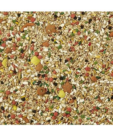 Kaytee Forti-Diet Pro Health Cockatiel Food with Safflower - Buy Online on GoSupps.com