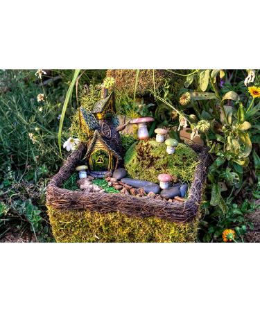 SuperMoss Fairy Garden Kit - 4 oz Mixed Mosses (50310) - Buy Online on GoSupps.com