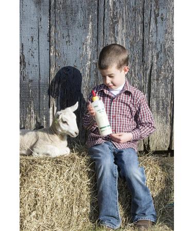 IDEAL 7004 Lamb & Kid Bottle 16oz with Red Screw-On Teat | Shop Now - Buy Online on GoSupps.com