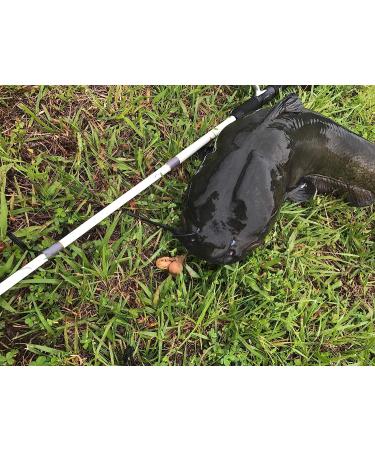 CatchFishAnnie Grannys Panties - Premium Quality Fishing Lure - Buy Online on GoSupps.com