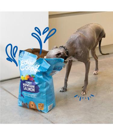 Edgard & Cooper Grain-Free Hypoallergenic Dry Dog Food - Natural 2.5kg Salmon High Meat Content Adult Nutrition (1 Pack) - Buy Online on GoSupps.com