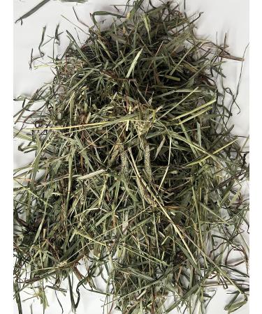 Timothy Hay for Small Pets Hay for Rabbits Hay for Guinea Pigs Hay for Chincilla Hay 2nd Cut Timothy Hay Hay Bale Compressed Hay Box of Hay