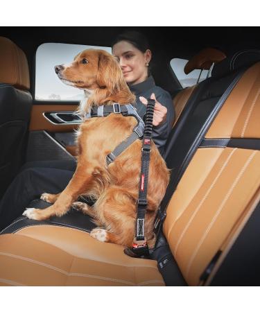 EzyDog Click ZS Dog Harness with Shock Absorber - Black | Safe Car Travel for Dogs | International Shipping Available - Buy Online on GoSupps.com