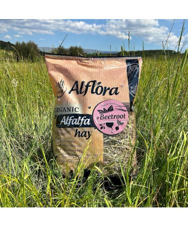 Alflora Organic 1KG Premium Alfalfa Meadow Hay with Beetroot - 100% Natural - High Protein & Fiber - Ideal for Rabbits, Gerbils, Hamsters, Guinea Pigs - Buy Online on GoSupps.com