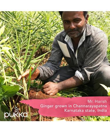 Pukka Herbs - Organic Herbal Tea Elderberry & Echinacea with Elderflower - 20 Tea Bags - Buy Online on GoSupps.com