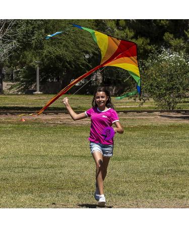 JOYIN Large Delta Kite 2-Pack - Easy-to-Fly Green and Rainbow Kites for Kids and Adults | Includes 262.5 ft Kite String | Perfect for Outdoor Games - Buy Online on GoSupps.com