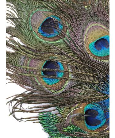 Peacock Feather Hair Clip - Retro Wedding Carnival Party Hairpin for Women and Girls - Buy Online on GoSupps.com