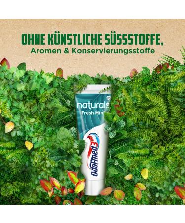 Odol-Med3 Naturals Fresh Mint Toothpaste 75ml - 3-in-1 Protection for Strong Teeth Healthy Gums & Fresh Breath | Buy Internationally - Buy Online on GoSupps.com
