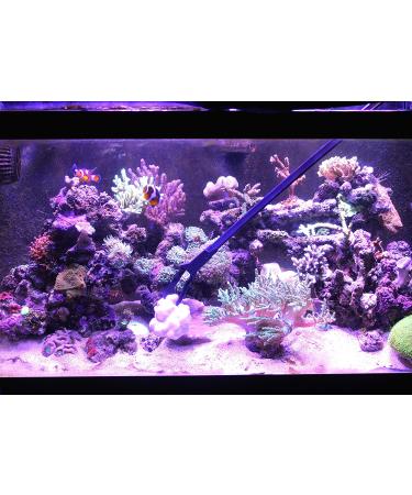 AquaticHI 27 inch Aquarium Tongs - 100% Reef Safe | Multi Purpose Fresh and Saltwater Fish Tank Tool for Clip Plants, Spot Feed Fish and Coral | Keep Hands Dry - Buy Online on GoSupps.com