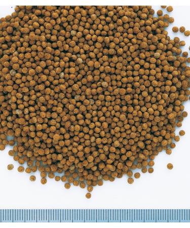 Tetra Goldfish Fish Food Granules Complete Fish Food for All Smaller Goldfish 80 g Fish 80 g (Pack of 1) - Buy Online on GoSupps.com