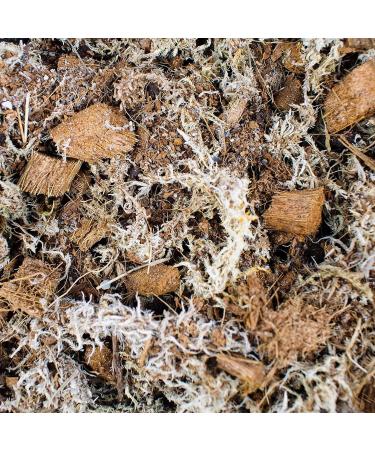 Premium SYBASoil Terrarium Soil 5L - Ideal Terrarium Substrate for Healthy Plants & Easy Setup - Buy Online on GoSupps.com