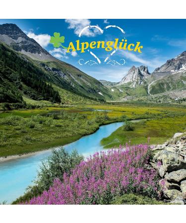 Carnello Causstangen Dog Treats - Grain Free Alpine Happiness - Pack of 5 | Healthy Chewing Snacks for Dogs - Buy Online on GoSupps.com