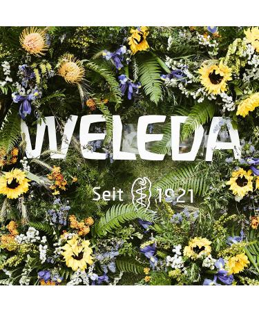 Weleda Hydrating Night Face Cream - 1 fl oz Plant Rich Moisturizer with Iris Root, Calendula, Chamomile - Fragrance-Free - Buy Online on GoSupps.com