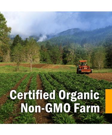 Herb Pharm Breath Refresher Certified Organic Herbal Fresh Breath Spray with Spearmint Essential Oil - 1/2 Ounce (Pack of 3) 0.47 Fl Oz (Pack of 3) Spearmint - Buy Online on GoSupps.com