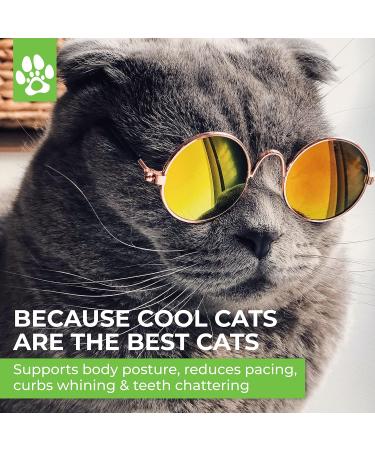 Pawsome Calming Hemp Oil for Cats | Stress & Anxiety Relief + Joint Support | Omega 3 6 9 | Cat Multivitamin with Vitamin C A B D E - 30ml - Buy Online on GoSupps.com