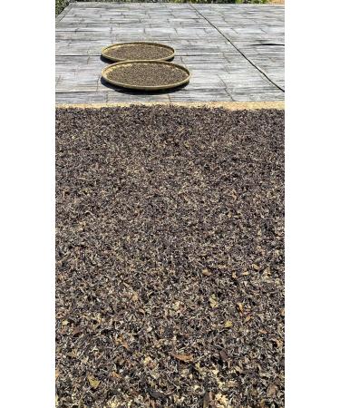 Puerh White Tea Gedeng Mountain 8g Tablets Pack of 10 - Buy Online on GoSupps.com