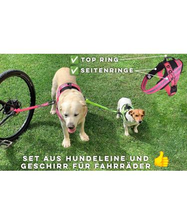 Premium Dog Leash & Harness for Biking - Patented Bike & Dog Set with Unique Dishes | Shop Now! - Buy Online on GoSupps.com