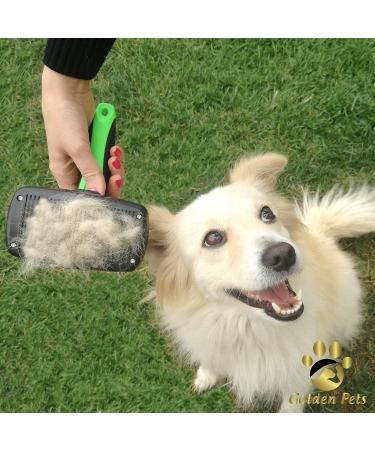 Golden Pets Self-Cleaning Dog & Cat Brush | Improved Version for Short to Long Hair | Fast Cleaning & Nursing Dish for Small to Large Animals - Buy Online on GoSupps.com