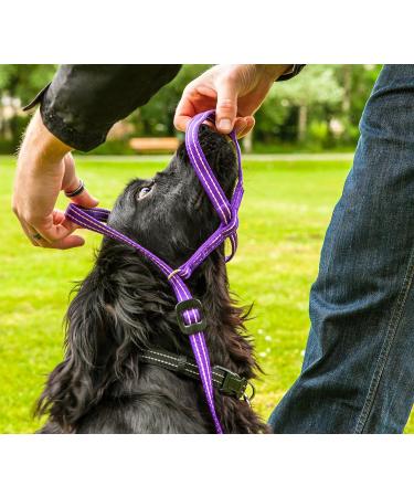 Gencon All-in-1 Headcollar and Lead Right-handed Pink/Burgundy - Buy Online on GoSupps.com
