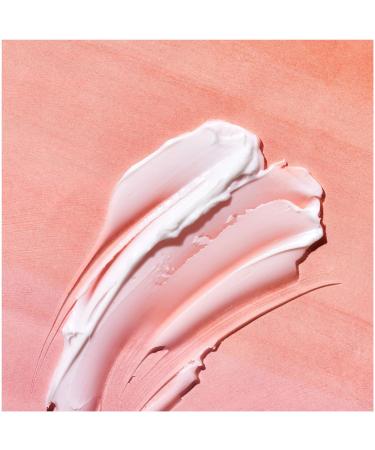 Garnier SkinActive Rose Water Face Moisturizer 6.7 Fl Oz - Pack of 2 - Buy Online on GoSupps.com