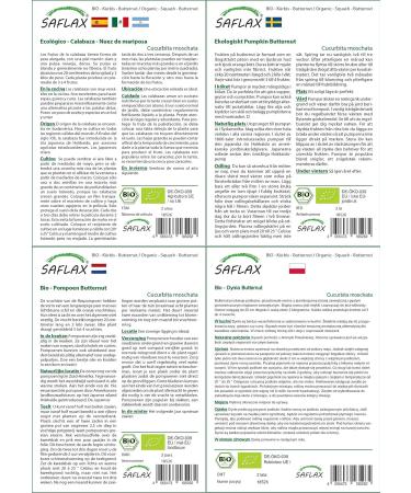 SAFLAX - ORGANIC - Squash - Butternut - 6 seeds - Cucurbita moschata - Buy Online on GoSupps.com
