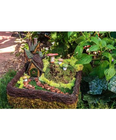 SuperMoss Fairy Garden Kit - 4 oz Mixed Mosses (50310) - Buy Online on GoSupps.com