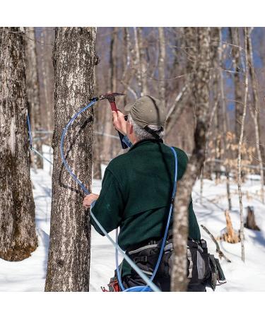 Pure Organic Maple Syrup - Vermont Grade A | Butternut Mountain Farm, 12 Fl Oz - Buy Online on GoSupps.com