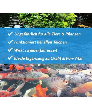 Koipon Teichclean 1 kg - Effective Pond Sludge Remover for Fish & Garden Ponds | Biological Cleaning of Leaves Mud & Deposits - Buy Online on GoSupps.com