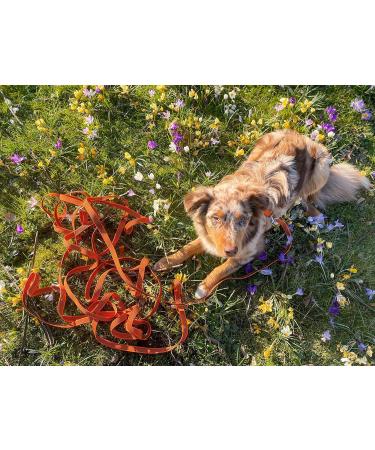 Twinkys Dog Style 35m Rubberized Double Leash - 15mm Wide for Dogs Up to 50kg - No Hand Loop - Made in Germany - Orange - Buy Online on GoSupps.com