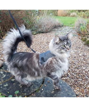 Mynwood Cat Jacket/Harness Black Denim Adult Cat black adult - Buy Online on GoSupps.com