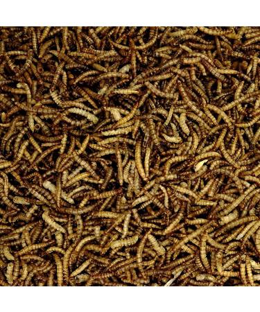 Algova Dried Mealworms for Fish Birds Turtles & Hedgehogs - 170g Natural Insect Feed (1L) | International Shipping Available - Buy Online on GoSupps.com
