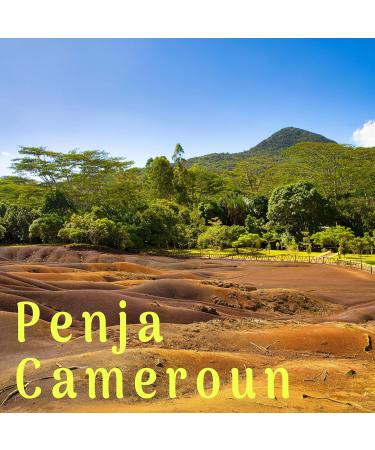  REPLANT REPLANT - 100 g of white pepper from Penja - Grand Cru 2024 - Buy Online on GoSupps.com