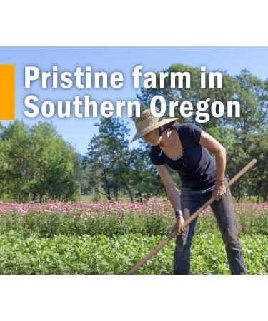 Herb Pharm Gum Guardian Herbal Mouthwash - Organic, 1 Fl Oz - Healthy Mouth and Gums - Buy Online on GoSupps.com