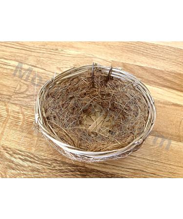 Canary Nest Pans 5 PACK 11cm Wicker - Coco with hooks to rear for Canaries - Buy Online on GoSupps.com