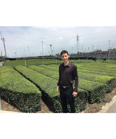 Kumiko Matcha Premium Organic Matcha Tea 30g - Buy Online on GoSupps.com