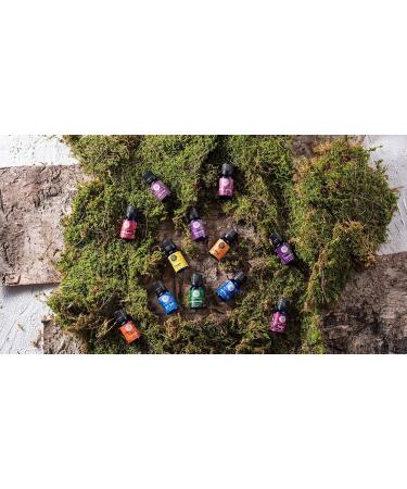 Woolzies Vanilla Essential Oil - Pure Aromatherapy Oil for Diffuser & Massage | 100% Natural Therapeutic Grade | 1oz - Buy Online on GoSupps.com