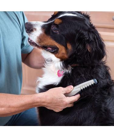 Knot Out Electric Pet Grooming Comb by Allstar Innovations - Remove Knots and Tangles with Ease - Buy Online on GoSupps.com