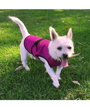 DOGZSTUFF Dog Cooling Vest | Lightweight Jacket with Evaporative Cool Technology | UV Protection Shirt for Small Dogs | Dark Blue - Buy Online on GoSupps.com