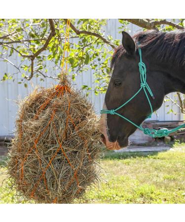 Majestic Ally 1/4" Rope 4 Knot Stiff Polyester Training Halter with 10 Matching Lead Rope for Horses Full (Red Full) Red Full - Buy Online on GoSupps.com