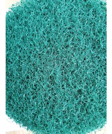 HUAWELL Drill Powered Brush Tile Scrubber Scouring Pads Cleaning Kit 2 Different Stiffness Disc Pad Holder with 12 Scrubbing Pads Cleans Large Flat Areas (4 Inch) - Buy Online on GoSupps.com